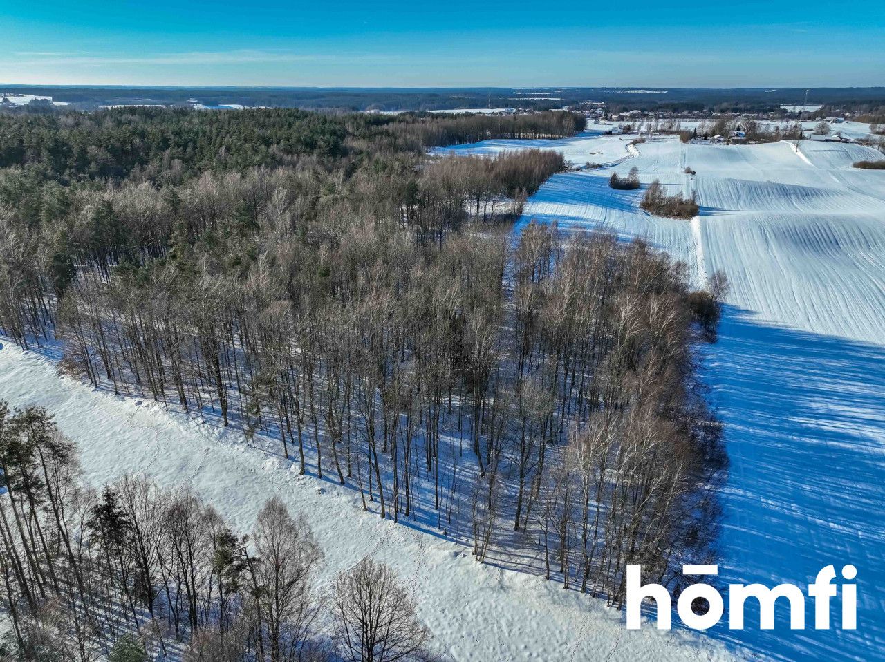 FOREST LAND FOR SALE – Czarna Dąbrówka, Rokity - Plot - Sale - Bytowski, Czarna Dąbrówka / Rokity