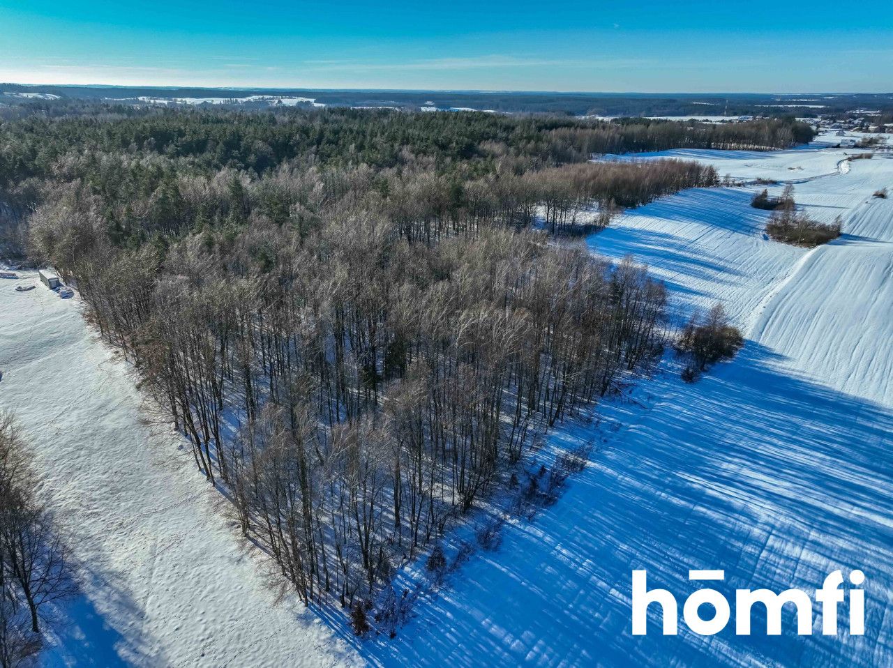 FOREST LAND FOR SALE – Czarna Dąbrówka, Rokity - Plot - Sale - Bytowski, Czarna Dąbrówka / Rokity