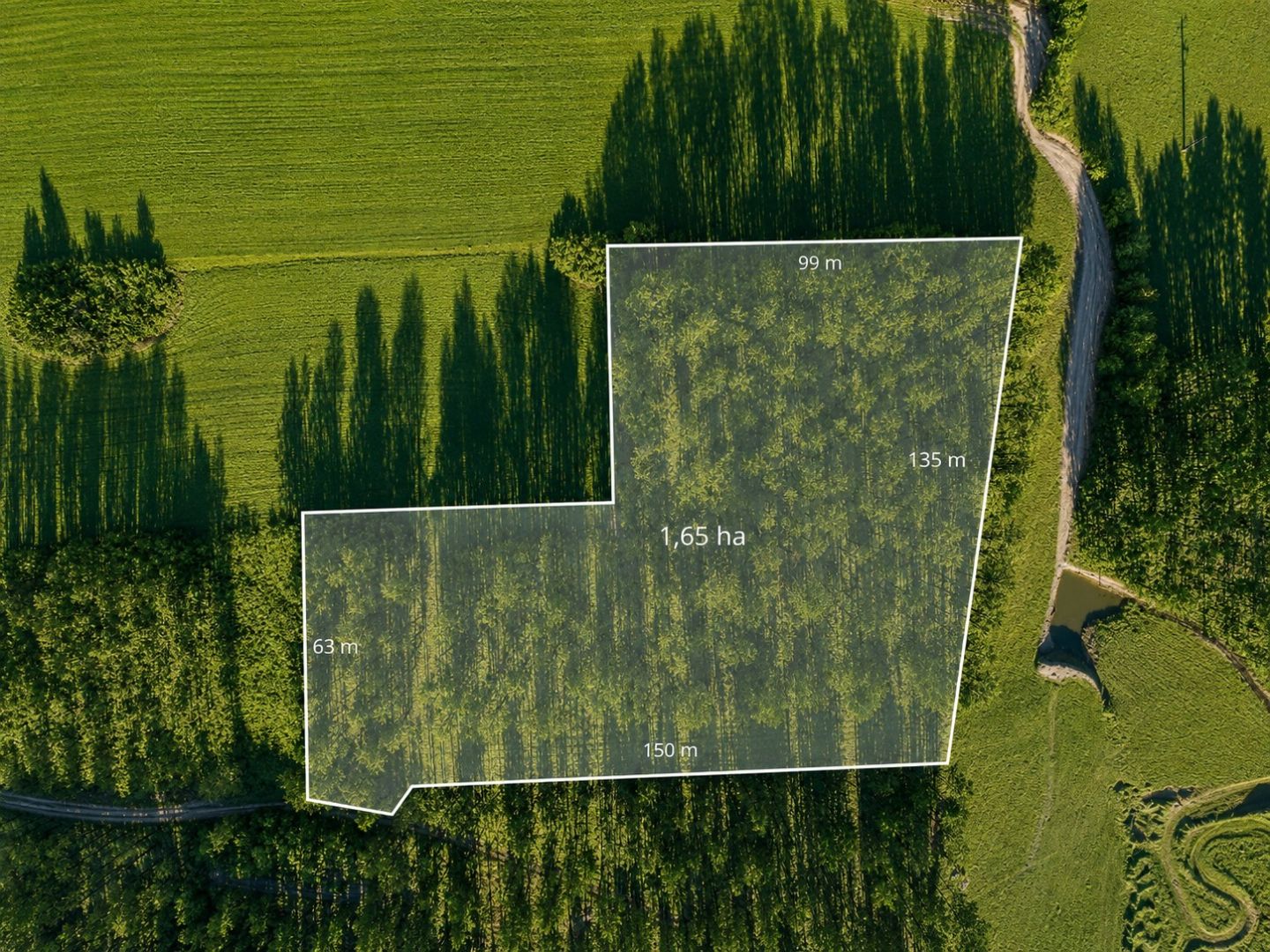 FOREST LAND FOR SALE – Czarna Dąbrówka, Rokity - Plot - Sale - Bytowski, Czarna Dąbrówka / Rokity