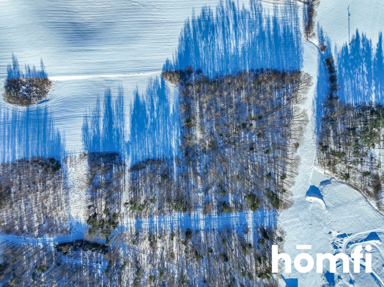 FOREST LAND FOR SALE – Czarna Dąbrówka, Rokity - Plot - Sale - Bytowski, Czarna Dąbrówka / Rokity