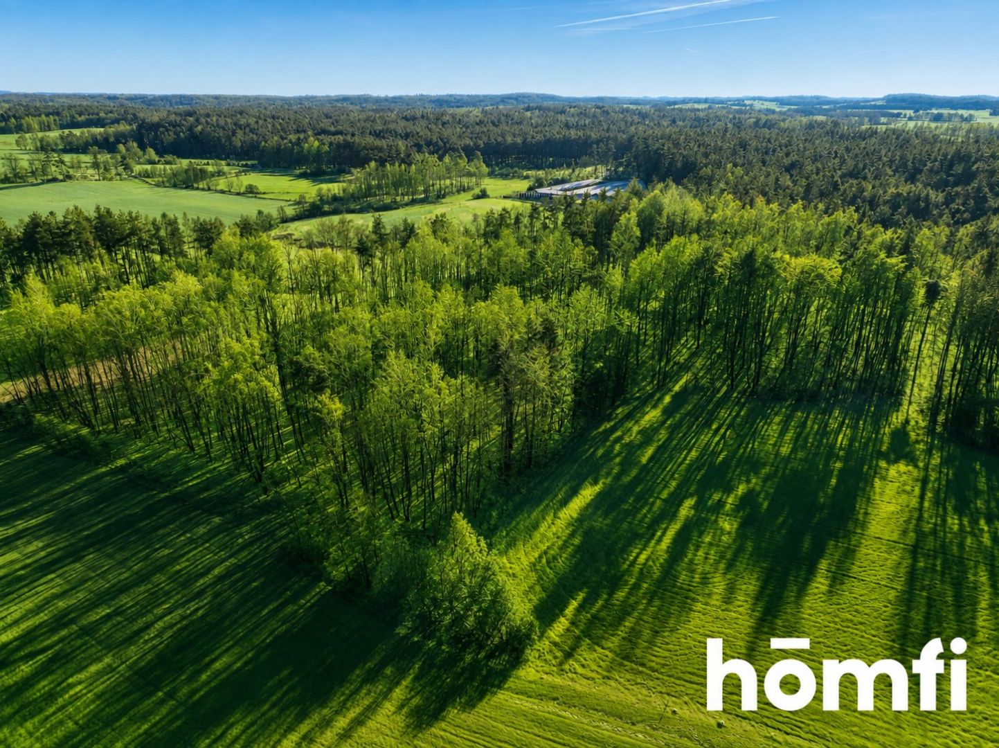 FOREST LAND FOR SALE – Czarna Dąbrówka, Rokity - Plot - Sale - Bytowski, Czarna Dąbrówka / Rokity