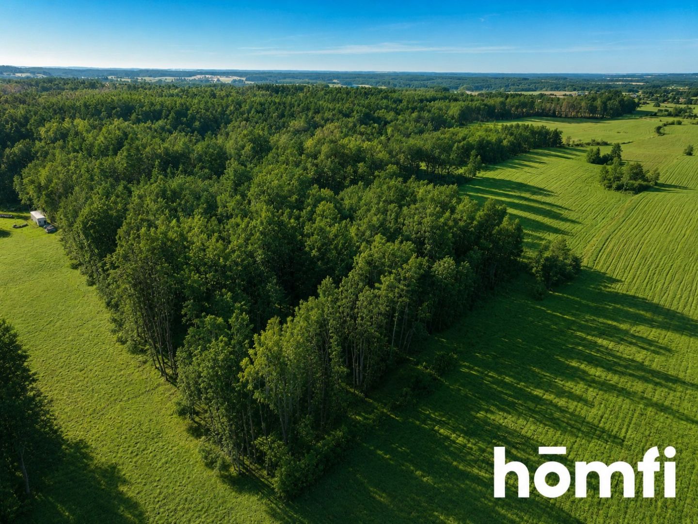 FOREST LAND FOR SALE – Czarna Dąbrówka, Rokity - Plot - Sale - Bytowski, Czarna Dąbrówka / Rokity