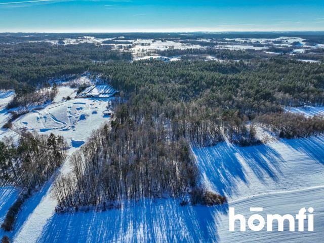 FOREST LAND FOR SALE – Czarna Dąbrówka, Rokity - Ділянка - Продаж - Bytowski, Czarna Dąbrówka / Rokity