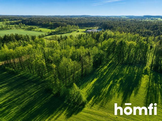 FOREST LAND FOR SALE – Czarna Dąbrówka, Rokity - Ділянка - Продаж - Bytowski, Czarna Dąbrówka / Rokity