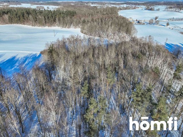 FOREST LAND FOR SALE – Czarna Dąbrówka, Rokity - Ділянка - Продаж - Bytowski, Czarna Dąbrówka / Rokity