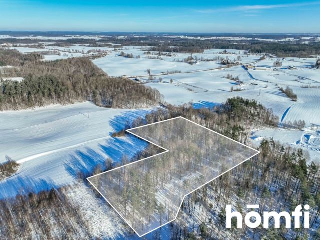 FOREST LAND FOR SALE – Czarna Dąbrówka, Rokity - Ділянка - Продаж - Bytowski, Czarna Dąbrówka / Rokity