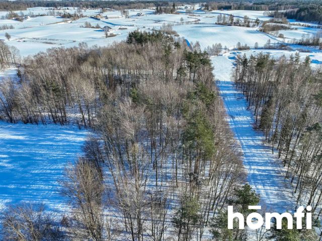 FOREST LAND FOR SALE – Czarna Dąbrówka, Rokity - Ділянка - Продаж - Bytowski, Czarna Dąbrówka / Rokity
