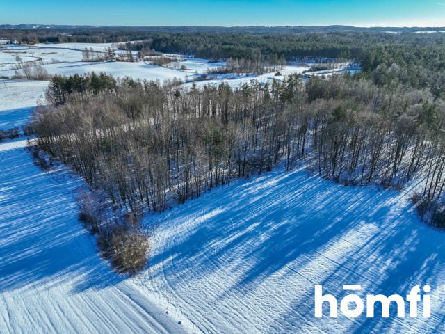 FOREST LAND FOR SALE – Czarna Dąbrówka, Rokity - Ділянка - Продаж - Bytowski, Czarna Dąbrówka / Rokity