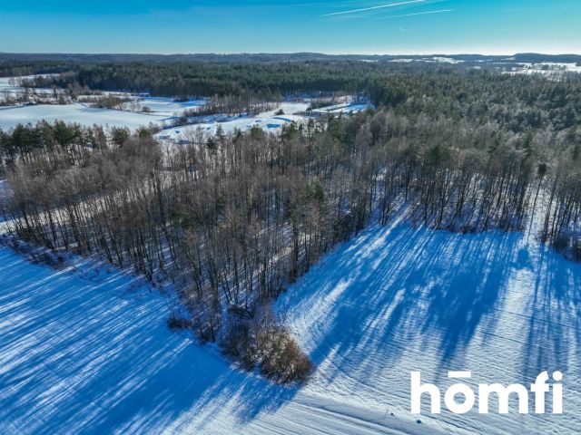 FOREST LAND FOR SALE – Czarna Dąbrówka, Rokity - Ділянка - Продаж - Bytowski, Czarna Dąbrówka / Rokity