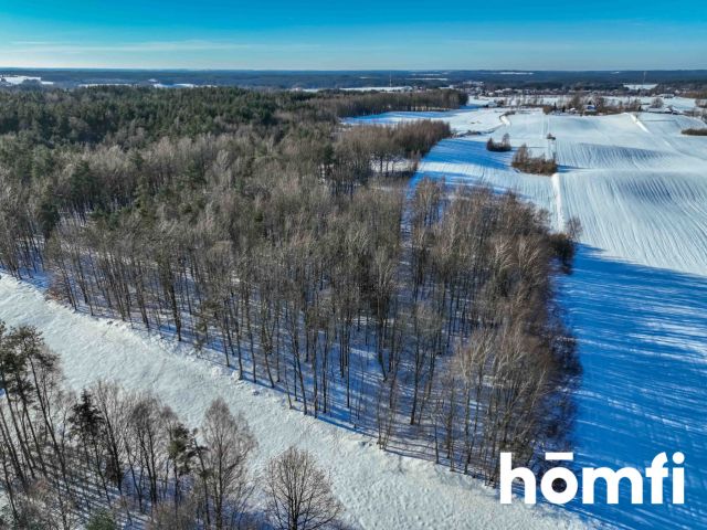 FOREST LAND FOR SALE – Czarna Dąbrówka, Rokity - Ділянка - Продаж - Bytowski, Czarna Dąbrówka / Rokity
