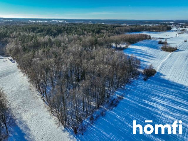 FOREST LAND FOR SALE – Czarna Dąbrówka, Rokity - Ділянка - Продаж - Bytowski, Czarna Dąbrówka / Rokity