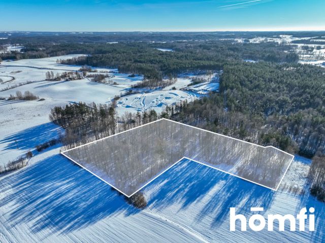 FOREST LAND FOR SALE – Czarna Dąbrówka, Rokity - Ділянка - Продаж - Bytowski, Czarna Dąbrówka / Rokity