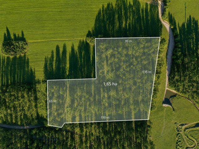 FOREST LAND FOR SALE – Czarna Dąbrówka, Rokity - Ділянка - Продаж - Bytowski, Czarna Dąbrówka / Rokity