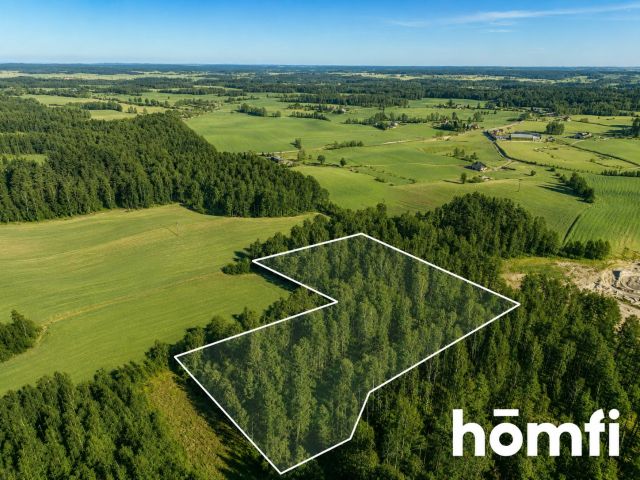 FOREST LAND FOR SALE – Czarna Dąbrówka, Rokity - Ділянка - Продаж - Bytowski, Czarna Dąbrówka / Rokity