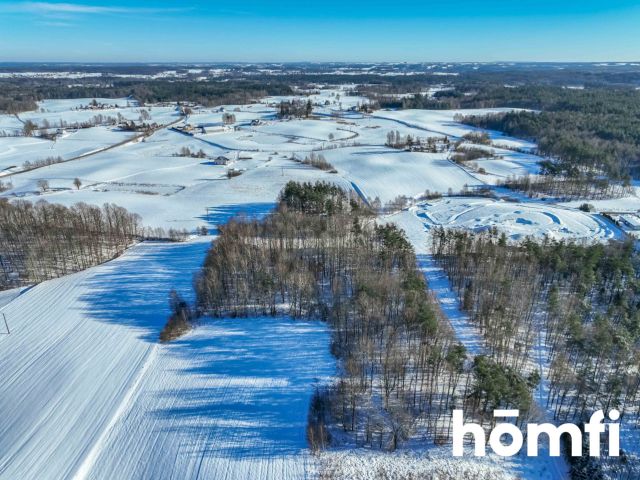 FOREST LAND FOR SALE – Czarna Dąbrówka, Rokity - Ділянка - Продаж - Bytowski, Czarna Dąbrówka / Rokity