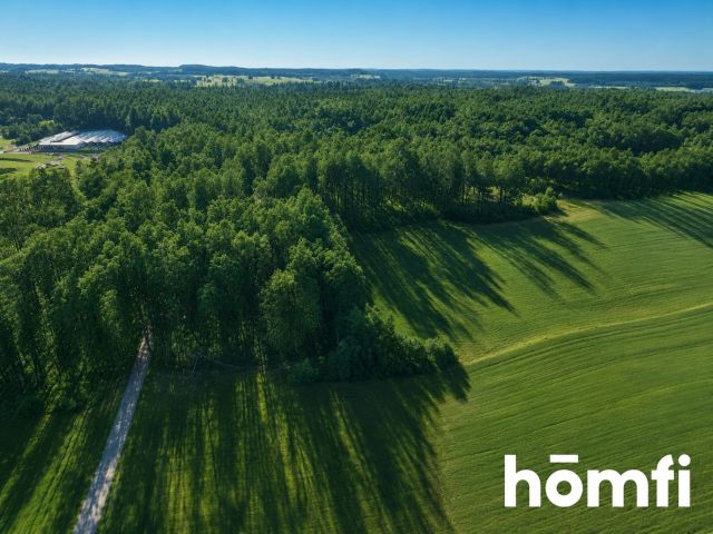FOREST LAND FOR SALE – Czarna Dąbrówka, Rokity - Ділянка - Продаж - Bytowski, Czarna Dąbrówka / Rokity