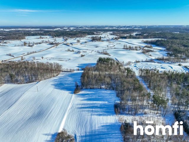 FOREST LAND FOR SALE – Czarna Dąbrówka, Rokity - Ділянка - Продаж - Bytowski, Czarna Dąbrówka / Rokity