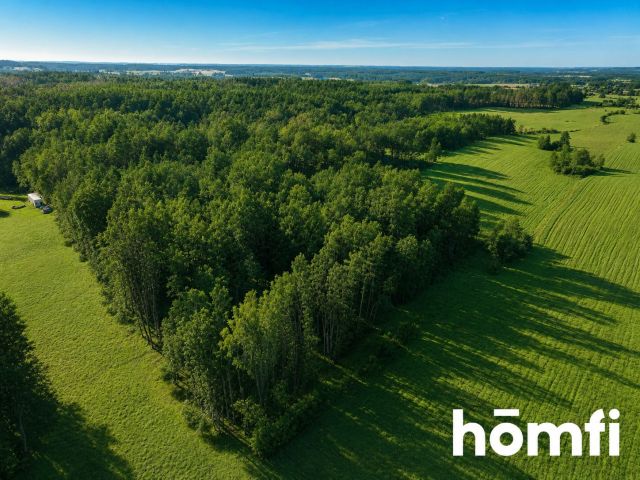 FOREST LAND FOR SALE – Czarna Dąbrówka, Rokity - Ділянка - Продаж - Bytowski, Czarna Dąbrówka / Rokity