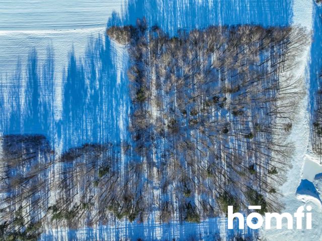 FOREST LAND FOR SALE – Czarna Dąbrówka, Rokity - Ділянка - Продаж - Bytowski, Czarna Dąbrówka / Rokity