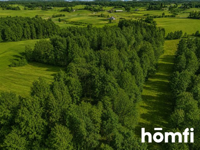 FOREST LAND FOR SALE – Czarna Dąbrówka, Rokity - Ділянка - Продаж - Bytowski, Czarna Dąbrówka / Rokity
