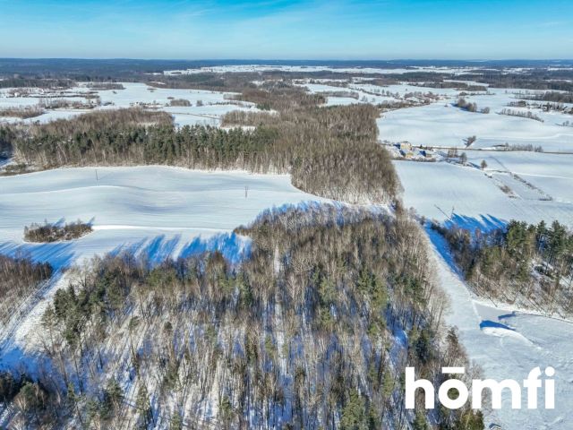 FOREST LAND FOR SALE – Czarna Dąbrówka, Rokity - Ділянка - Продаж - Bytowski, Czarna Dąbrówka / Rokity