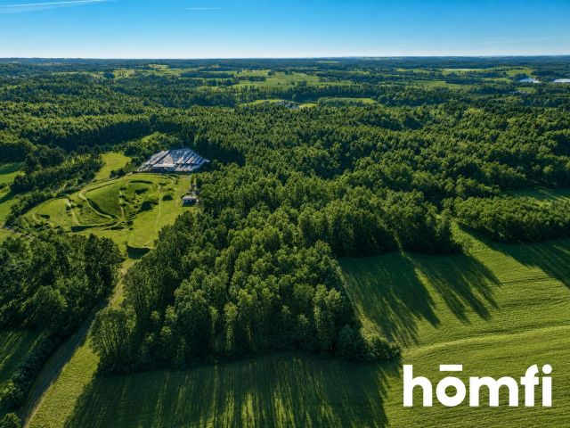 FOREST LAND FOR SALE – Czarna Dąbrówka, Rokity - Ділянка - Продаж - Bytowski, Czarna Dąbrówka / Rokity
