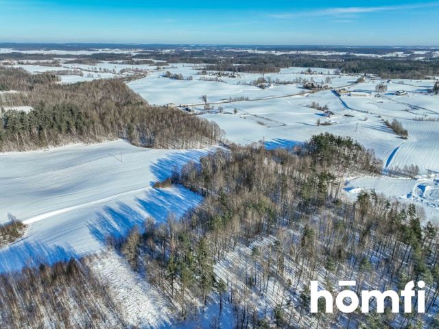 FOREST LAND FOR SALE – Czarna Dąbrówka, Rokity - Ділянка - Продаж - Bytowski, Czarna Dąbrówka / Rokity