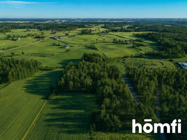 FOREST LAND FOR SALE – Czarna Dąbrówka, Rokity - Ділянка - Продаж - Bytowski, Czarna Dąbrówka / Rokity