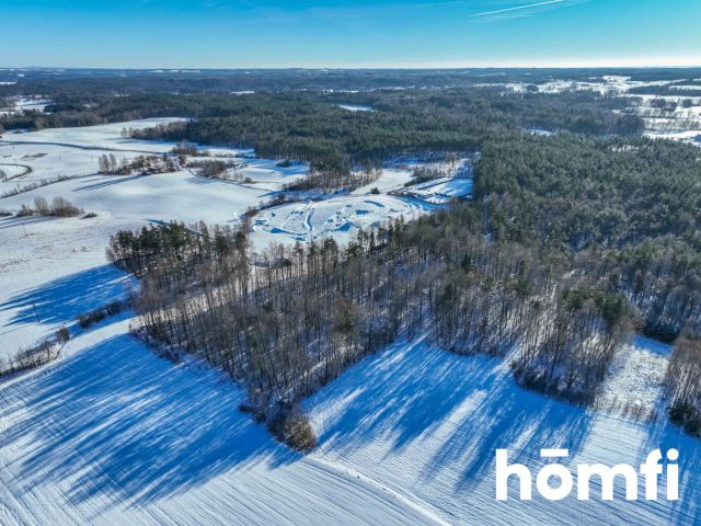 FOREST LAND FOR SALE – Czarna Dąbrówka, Rokity - Ділянка - Продаж - Bytowski, Czarna Dąbrówka / Rokity
