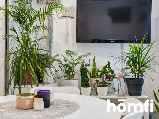 Kawalerka Katowice 35 m2 - Mieszkanie - Sprzedaż - Katowice, Załęże