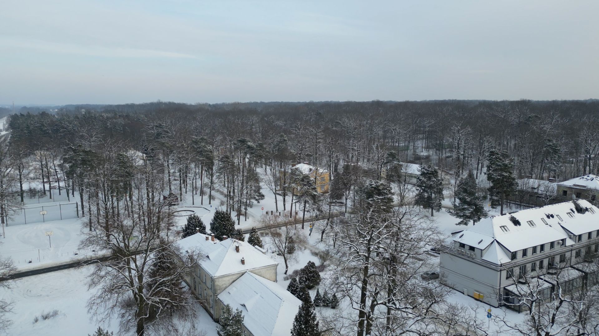 plots for the construction of apartment blocks - Ділянка - Продаж - Rycki, Dęblin / Stawy