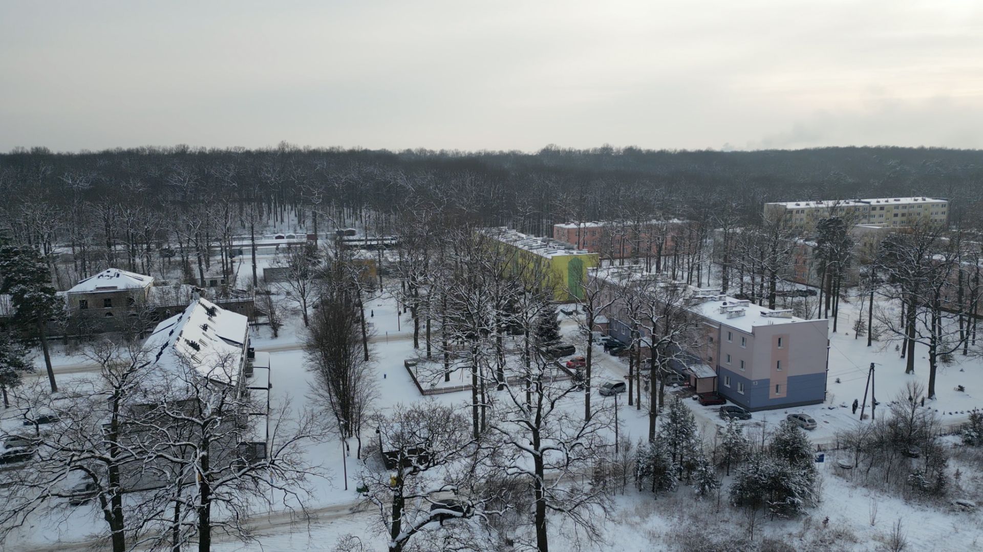 plots for the construction of apartment blocks - Ділянка - Продаж - Rycki, Dęblin / Stawy