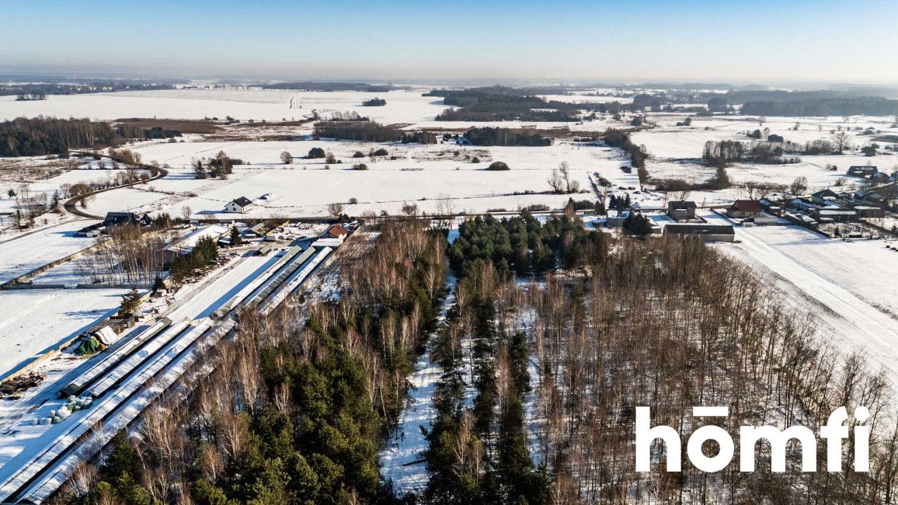 Działki budowlane w Zaborowie - Działka - Sprzedaż - Szydłowiecki, Orońsko / Zaborowie