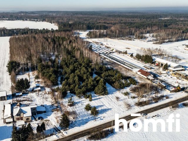 Działki budowlane w Zaborowie - Działka - Sprzedaż - Szydłowiecki, Orońsko / Zaborowie
