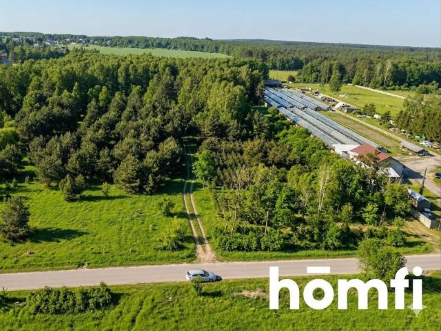 Building plots in Zaborowie - Plot - Sale - Szydłowiecki, Orońsko / Zaborowie