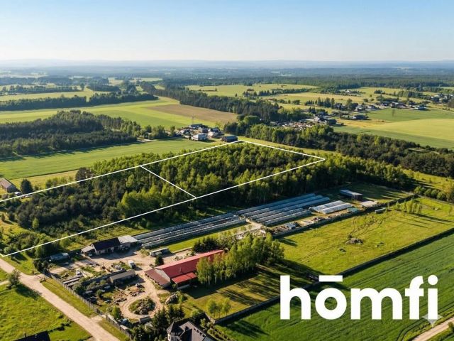 Building plots in Zaborowie - Plot - Sale - Szydłowiecki, Orońsko / Zaborowie