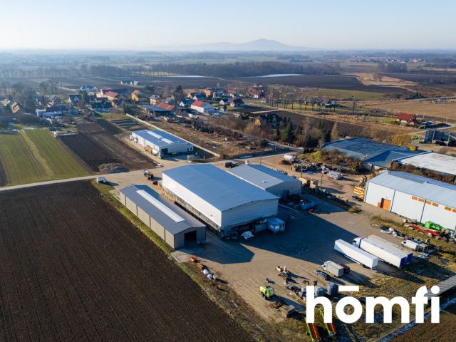 A modern 600m2 warehouse in Bielany Wrocławskie - Commercial premises - Rent - Wrocławski, Kobierzyce / Chrzanów