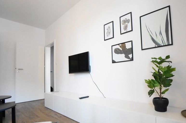 3 ODZIELNE POKOJE 70m2 NULLO - GRZEGÓRZKI PARK - Mieszkanie - Wynajem - Kraków, Śródmieście / Grzegórzki