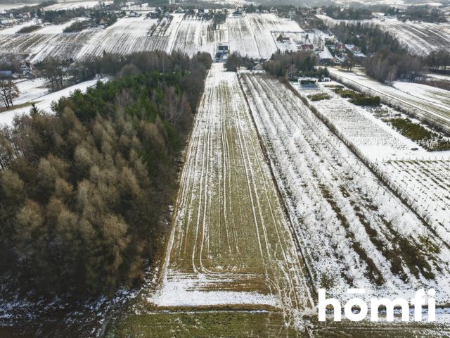 Building plot | large garden | quiet neighborhood - Ділянка - Продаж - Krakowski, Iwanowice / Maszków