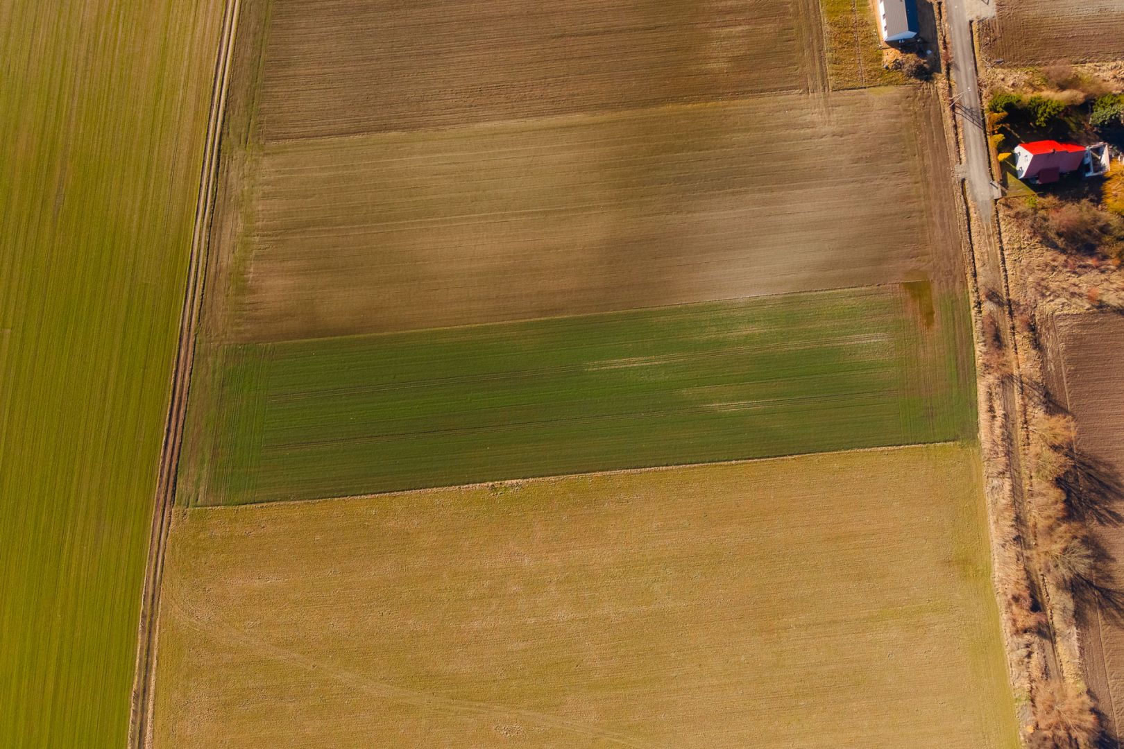 Działka budowlana z MPZP | Projekt podziału - Działka - Sprzedaż - Średzki, Malczyce / Rusko