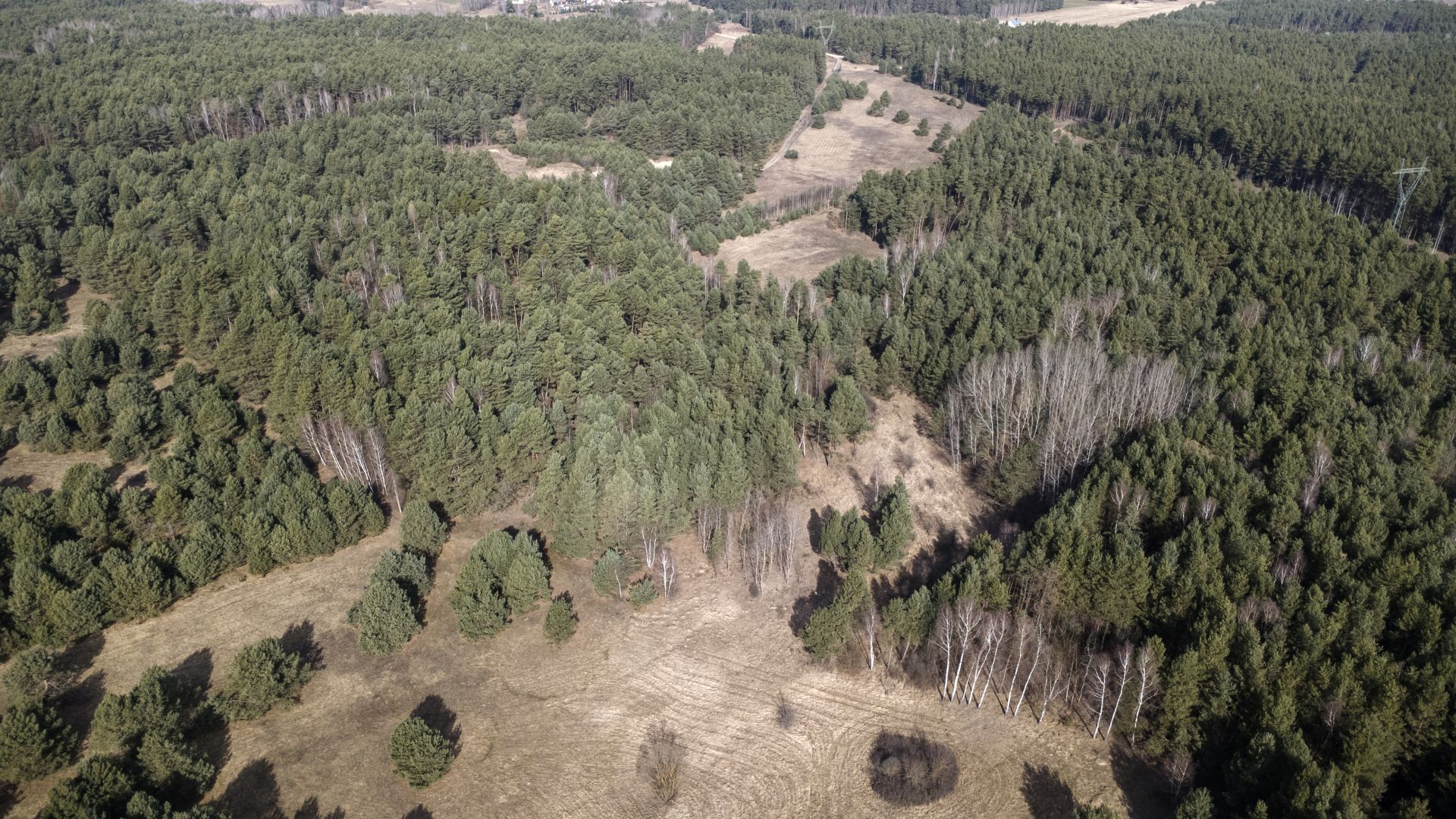 Plot for sale - Ділянка - Продаж - Kielecki, Morawica / Zbrza