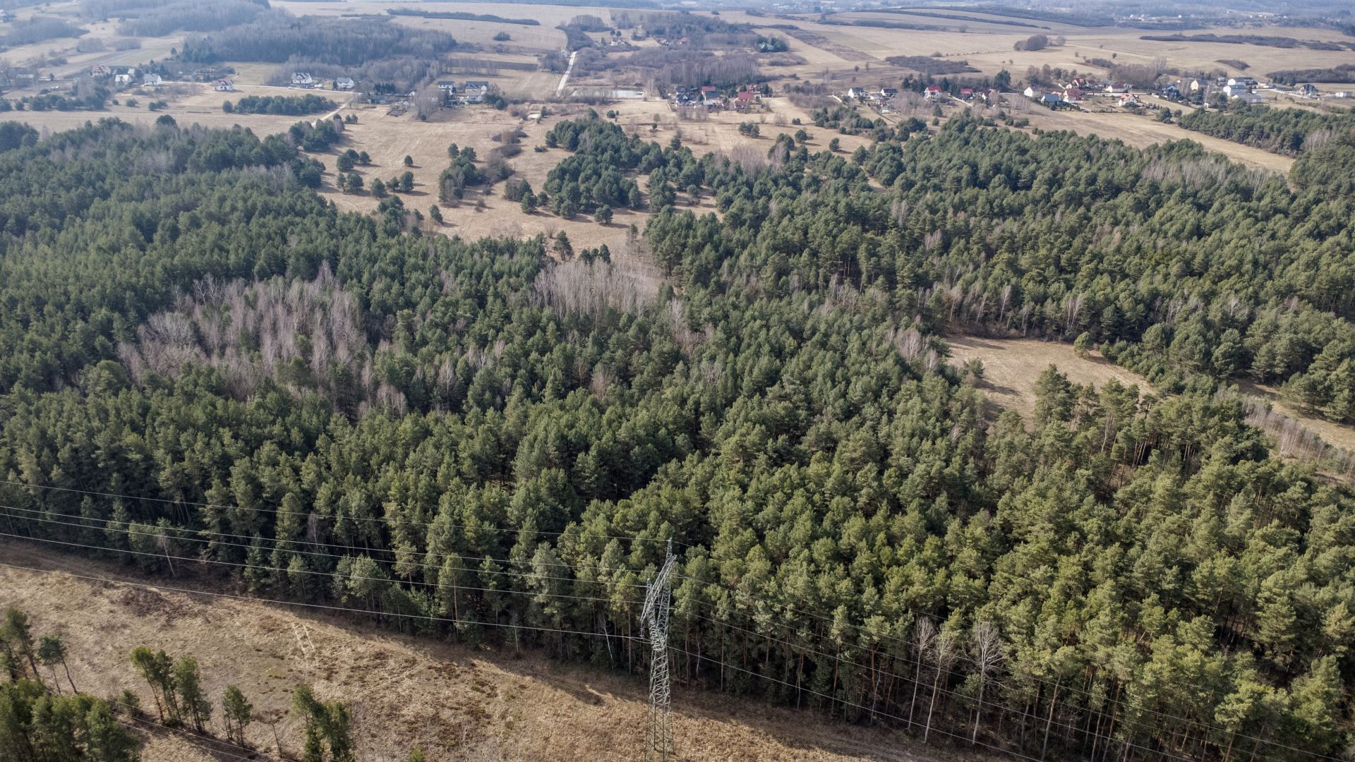 Plot for sale - Ділянка - Продаж - Kielecki, Morawica / Zbrza