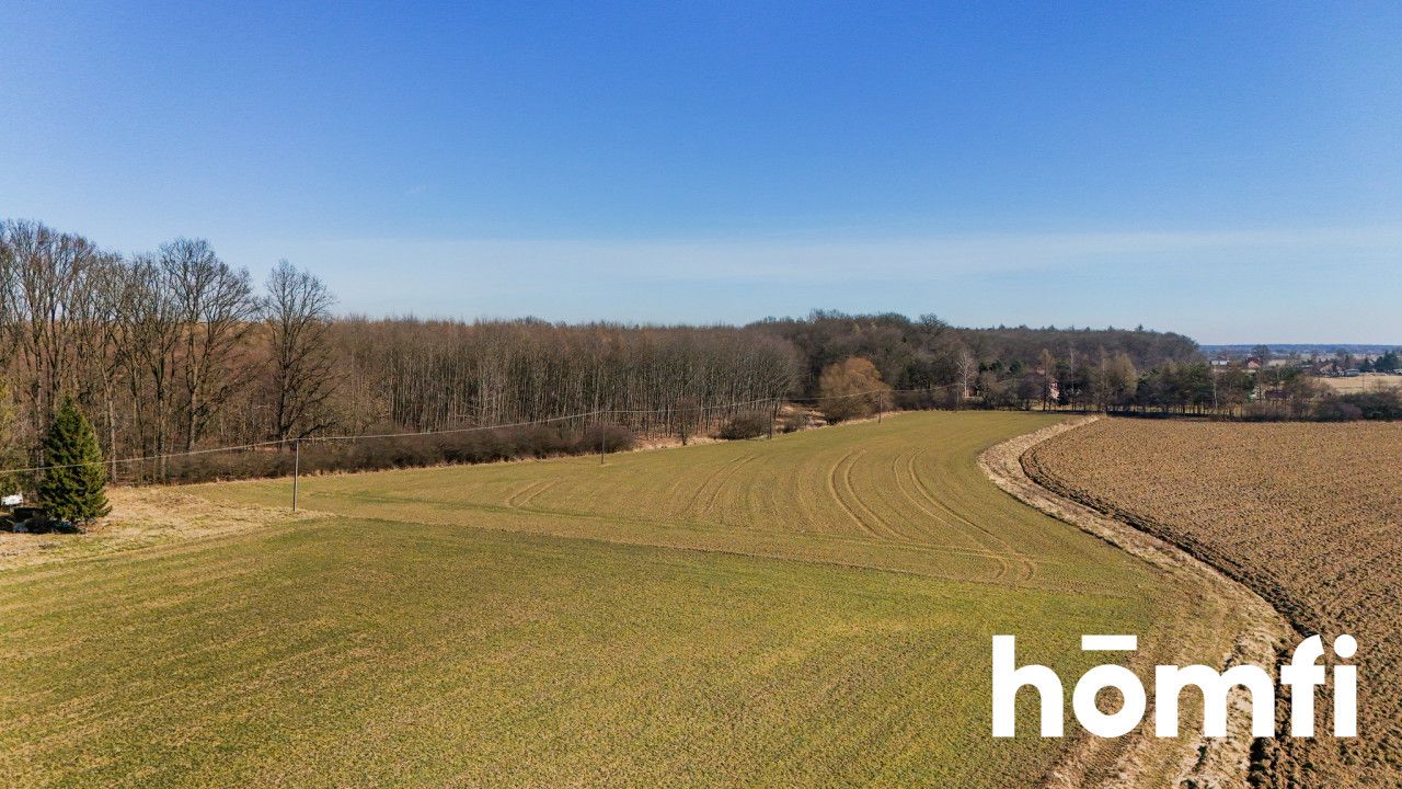 Działka rolna-siedliskowa | 49,18 ar | przy lesie - Działka - Sprzedaż - Wielicki, Niepołomice / Wola Batorska