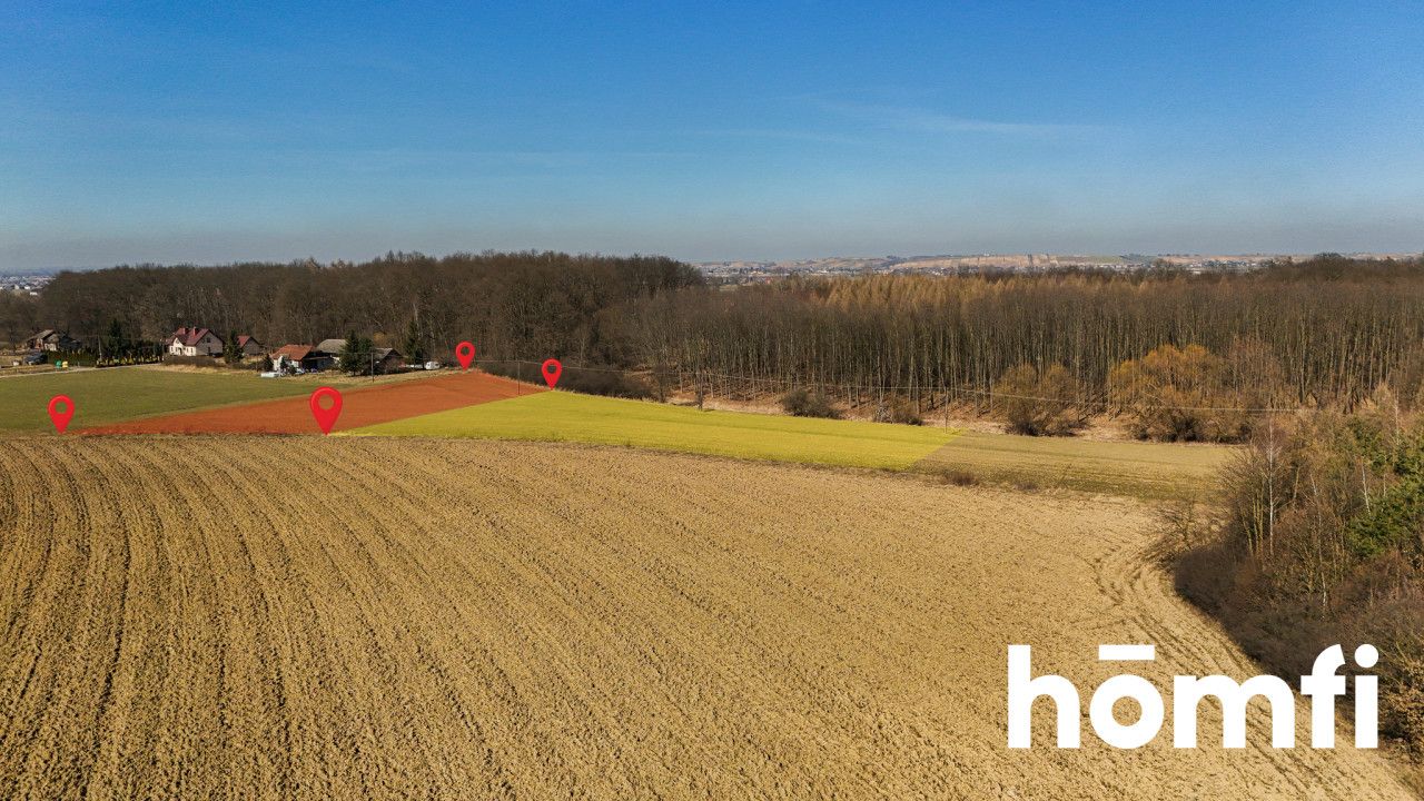 Działka rolna-siedliskowa | 49,18 ar | przy lesie - Działka - Sprzedaż - Wielicki, Niepołomice / Wola Batorska