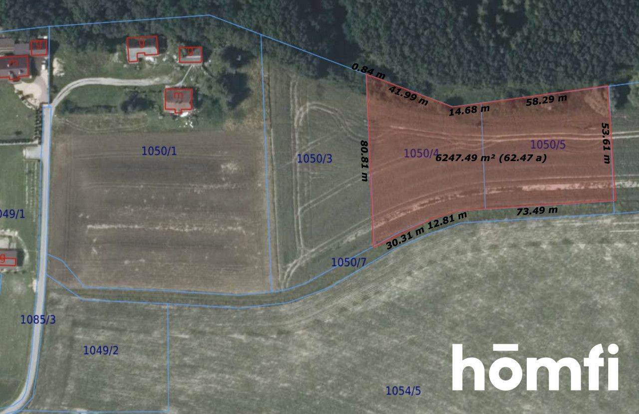 Działka rolna-siedliskowa | 49,18 ar | przy lesie - Działka - Sprzedaż - Wielicki, Niepołomice / Wola Batorska