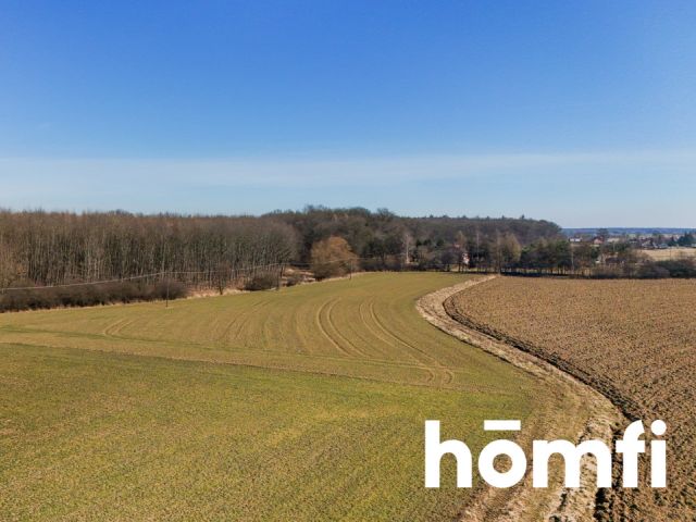 Działka rolna-siedliskowa | 49,18 ar | przy lesie - Działka - Sprzedaż - Wielicki, Niepołomice / Wola Batorska