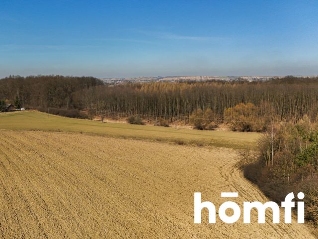 Działka rolna-siedliskowa | 49,18 ar | przy lesie - Działka - Sprzedaż - Wielicki, Niepołomice / Wola Batorska