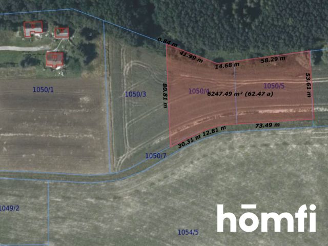 Działka rolna-siedliskowa | 49,18 ar | przy lesie - Działka - Sprzedaż - Wielicki, Niepołomice / Wola Batorska