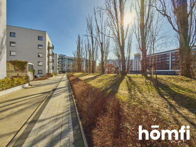 2 pokojowe mieszkanie na Kępie Mieszczańskiej - parking + komórka - Mieszkanie - Wynajem - Wrocław, Śródmieście