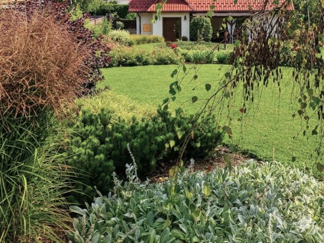 A charming house in the heart of Jordanów - Дім - Продаж - Suski, Jordanów / Zagrody